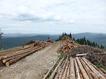 Tipy na výlety a voľný čas - Terchová a okolie, Cyklotrasa Terchová Lutiše Mravečník