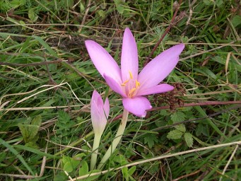 Cyklotrasa Mravečník, Vojenné