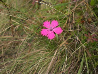 Cyklotrasa Mravečník, Vojenné