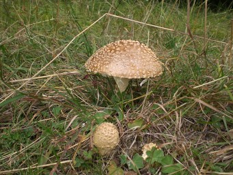 Cyklotrasa Mravečník, Vojenné