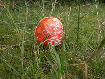 Cyklotrasa Mravečník, Vojenné