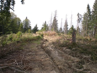 Cyklotrasa Mravečník, Vojenné