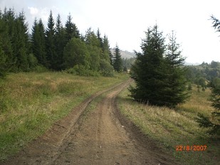 Zber húb, Terchová a okolie