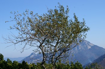 Túra Kraviarske - Žitné Baraniarky