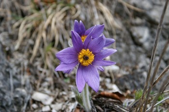 Túra Zbojnícky chodník - Obšívanka