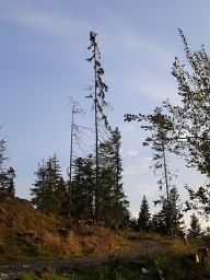 Cyklotrasa Okolo priehrady Nová Bystrica