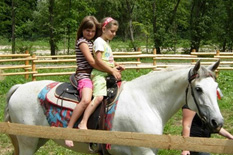 Tipy na výlety v Terchovskej doline