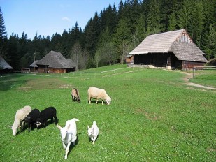 Skanzen v Zuberci